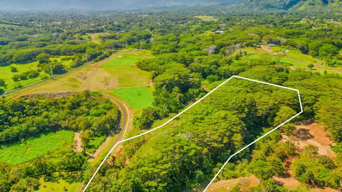 16C Land for Sale in KAPAA 705026 Hawaii Life