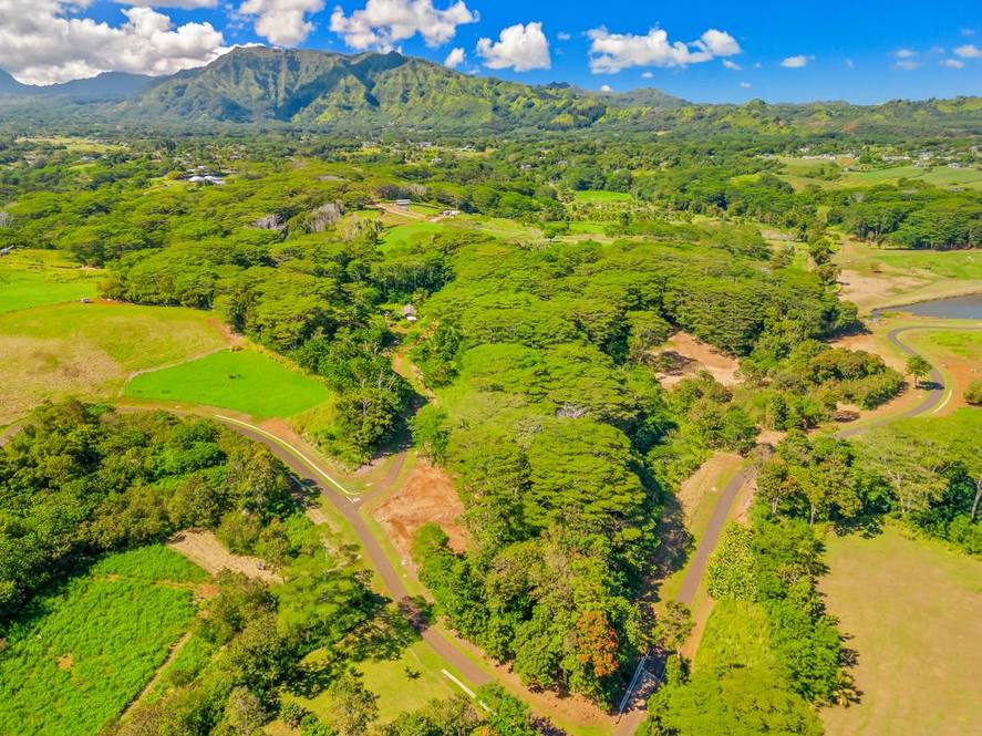 16C Land for Sale in KAPAA 705026 Hawaii Life