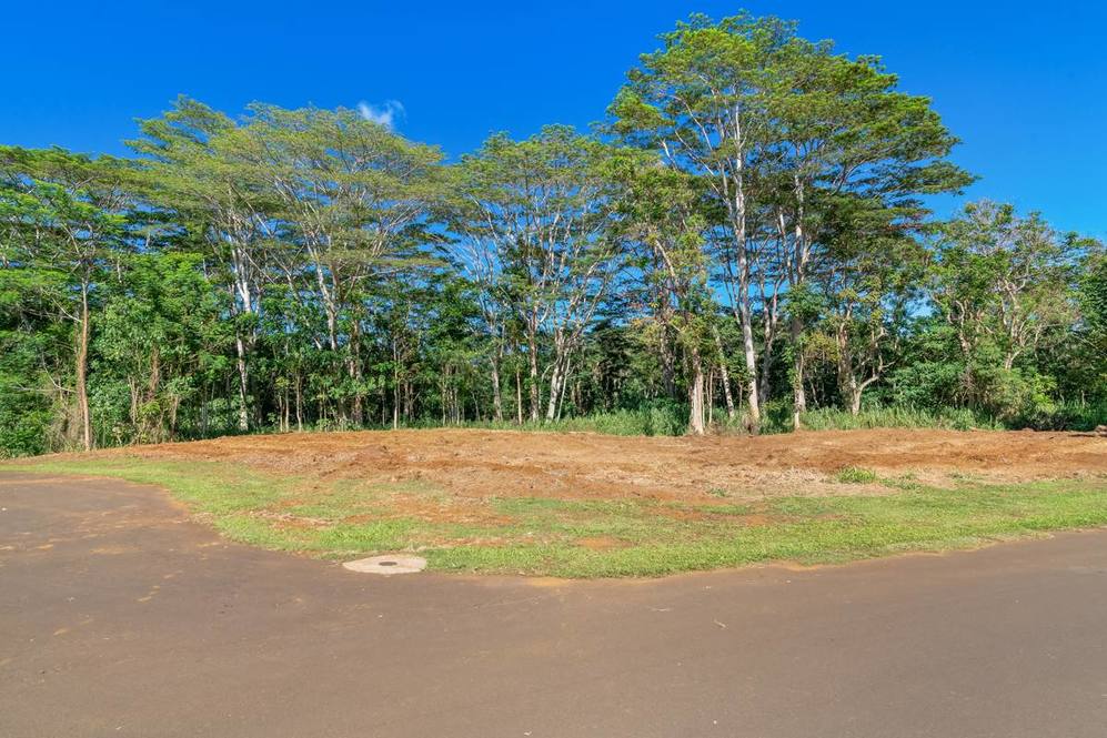 16C Land for Sale in KAPAA 705026 Hawaii Life