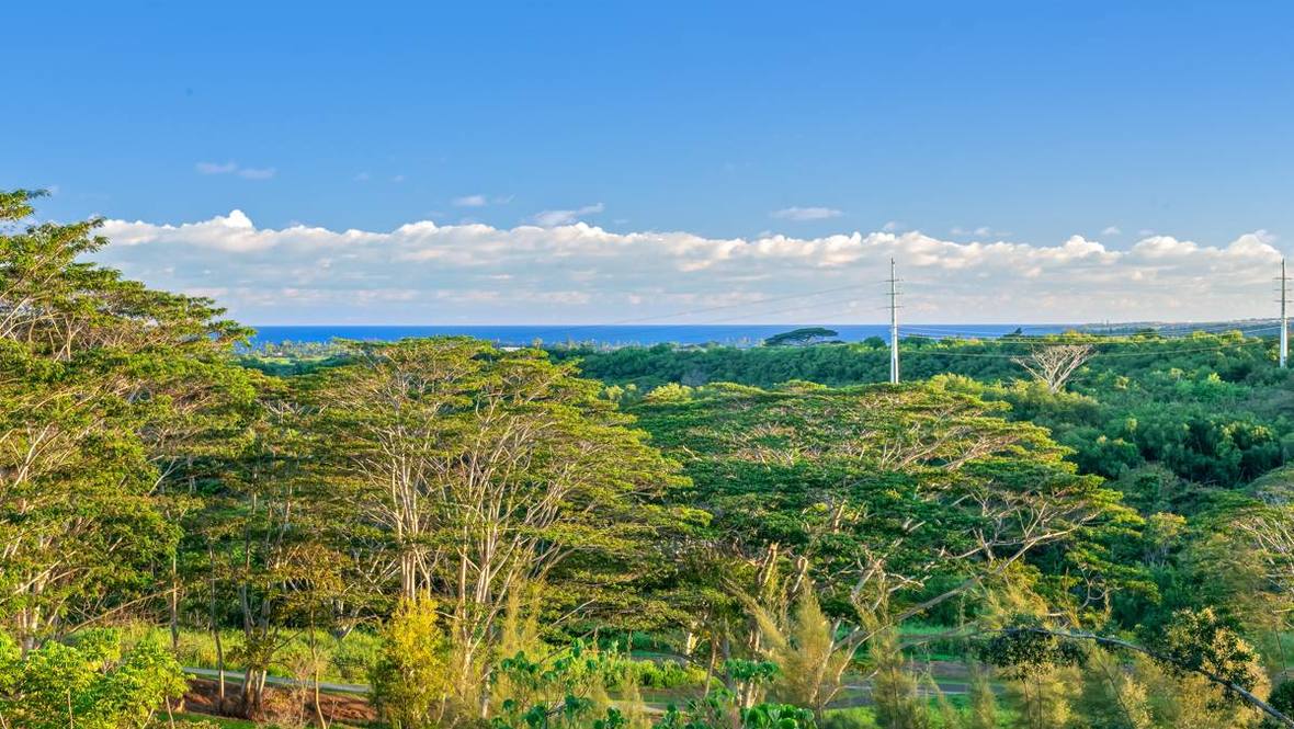 8A Land for Sale in KAPAA 704975 Hawaii Life