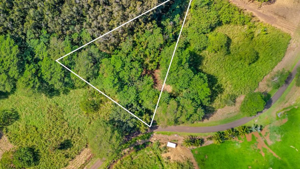 2C Land for Sale in KAPAA 704968 Hawaii Life
