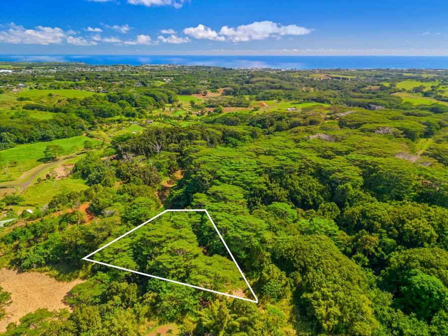 1B Land for Sale in KAPAA 704956 Hawaii Life
