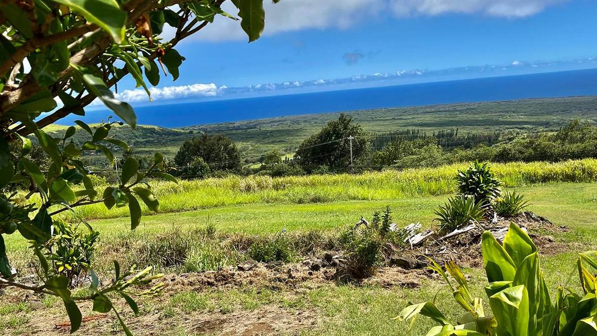 946316 MAMALAHOA HIGHWAY House for Sale in NAALEHU 705552 Hawaii