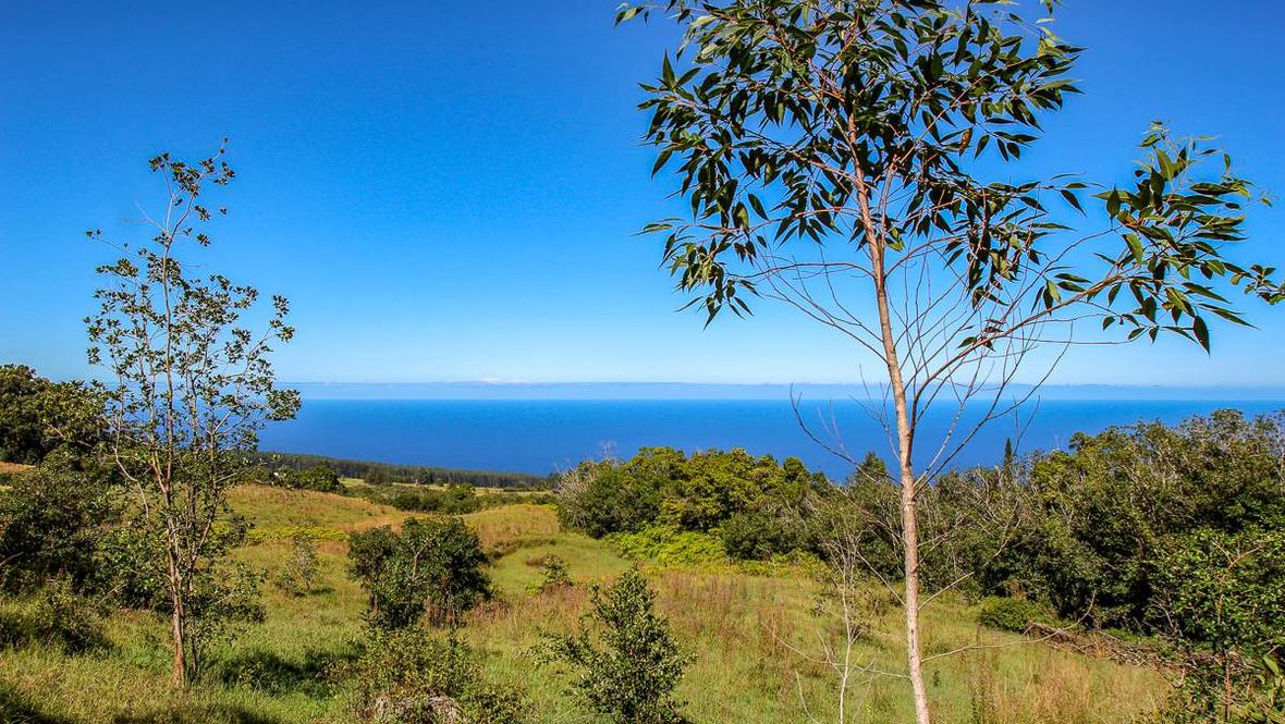 36772 SPENCER RD Land for Sale in LAUPAHOEHOE 705294 Hawaii Life