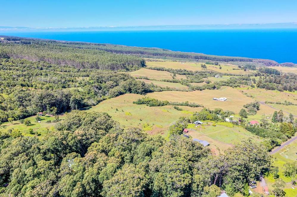 36772 SPENCER RD Land for Sale in LAUPAHOEHOE 705294 Hawaii Life