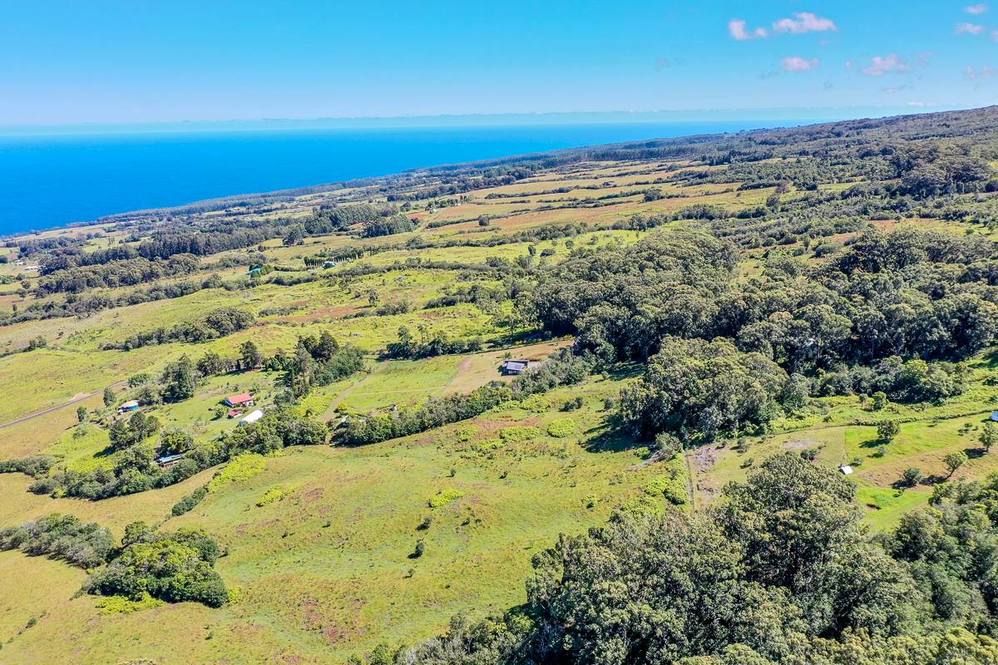36772 SPENCER RD Land for Sale in LAUPAHOEHOE 705294 Hawaii Life