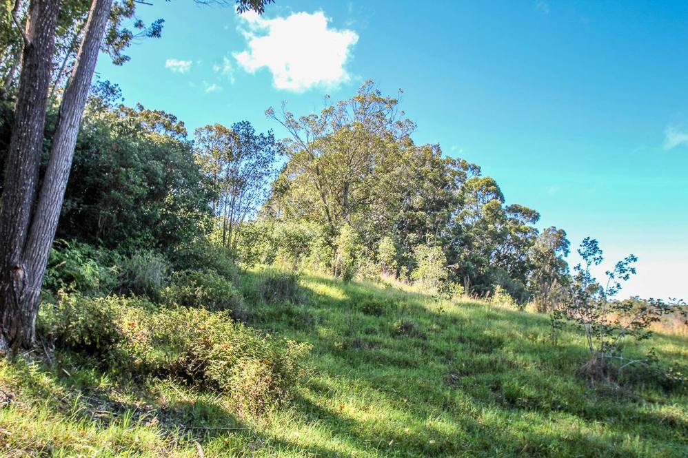 36772 SPENCER RD Land for Sale in LAUPAHOEHOE 705294 Hawaii Life