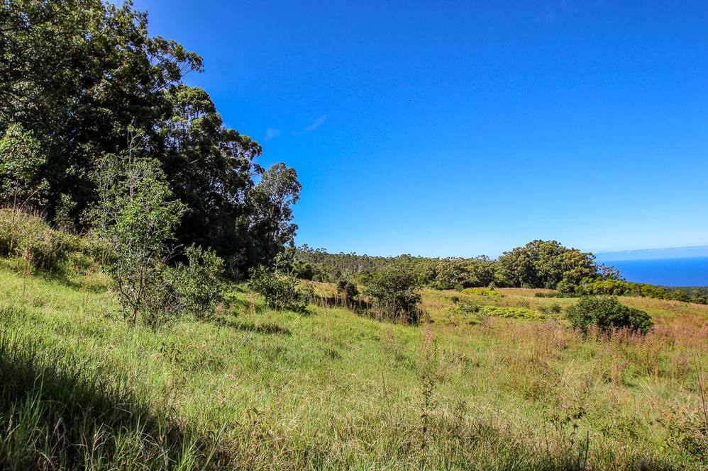 36772 SPENCER RD Land for Sale in LAUPAHOEHOE 705294 Hawaii Life