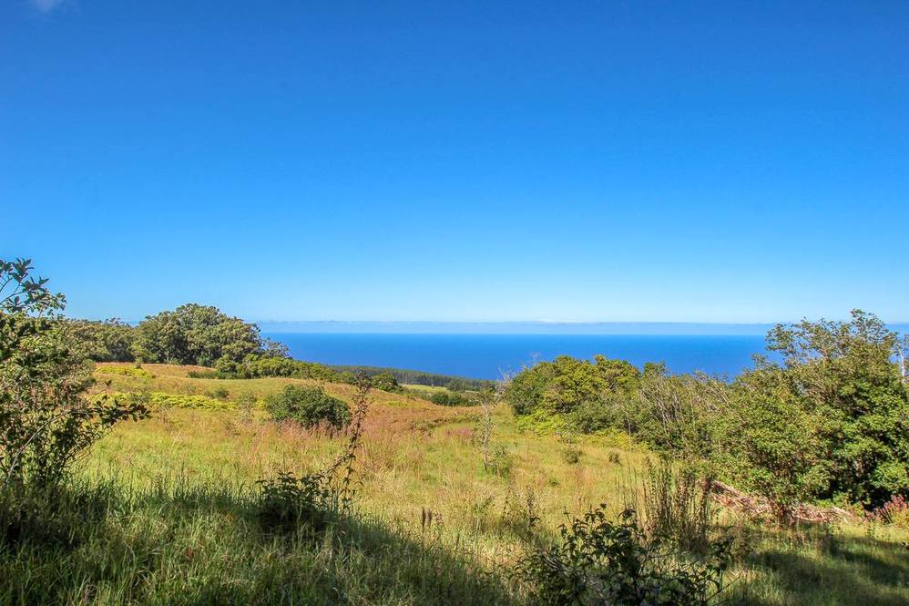 36772 SPENCER RD Land for Sale in LAUPAHOEHOE 705294 Hawaii Life