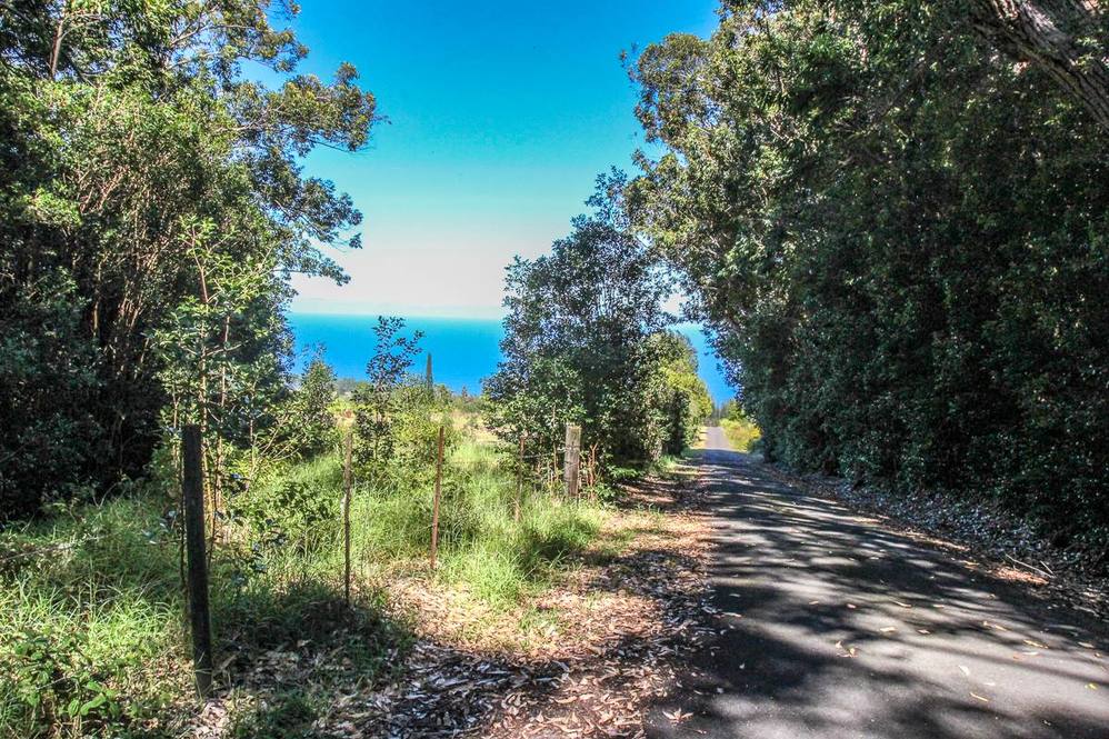 36772 SPENCER RD Land for Sale in LAUPAHOEHOE 705294 Hawaii Life