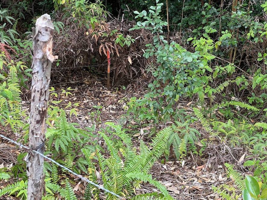 36772 SPENCER RD Land for Sale in LAUPAHOEHOE 705294 Hawaii Life