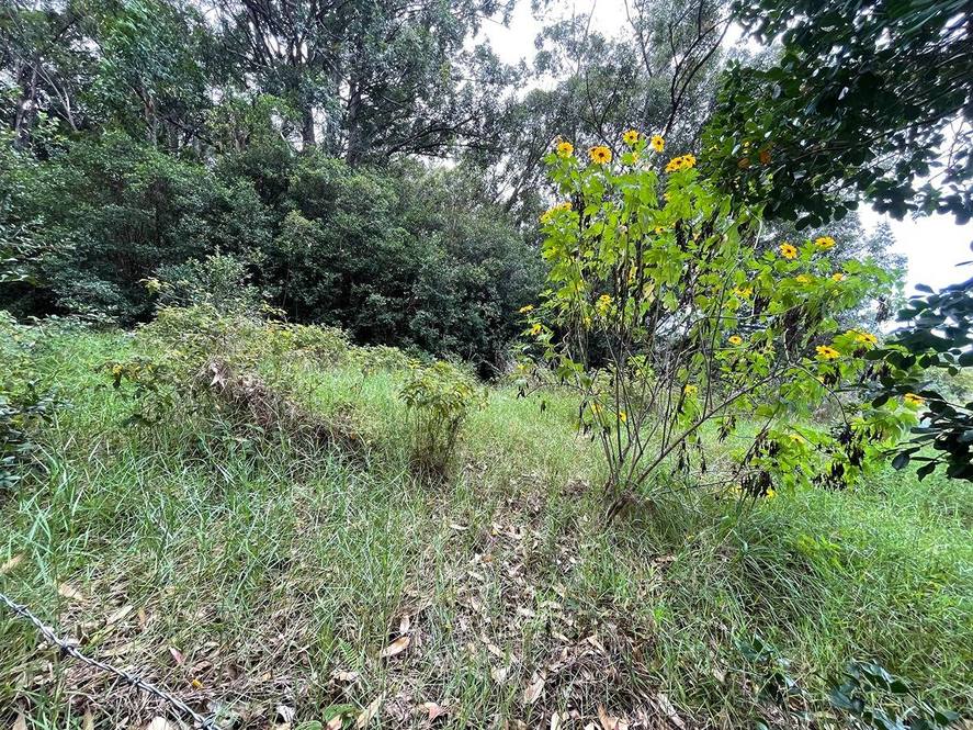 36772 SPENCER RD Land for Sale in LAUPAHOEHOE 705294 Hawaii Life