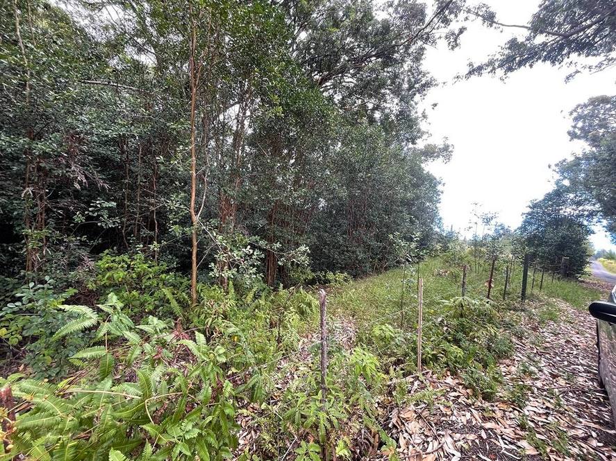 36772 SPENCER RD Land for Sale in LAUPAHOEHOE 705294 Hawaii Life