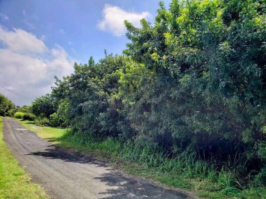 KUAMOO RD Land for Sale in NAALEHU 705948 Hawaii Life