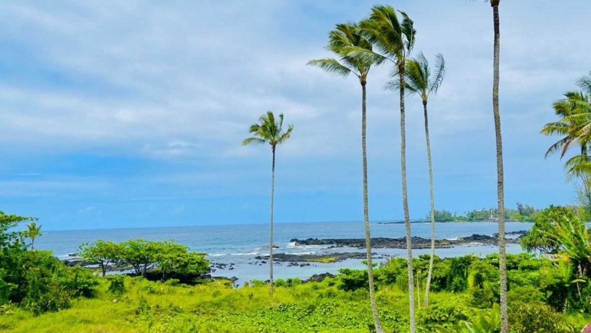 1911 HALE MOANA 306 Condo for Sale in HILO 705949 Hawaii Life