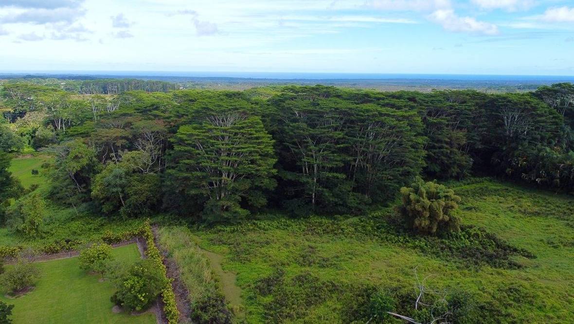 Land for Sale in KURTISTOWN 705613 Hawaii Life