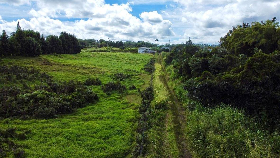 Land for Sale in KURTISTOWN 705613 Hawaii Life