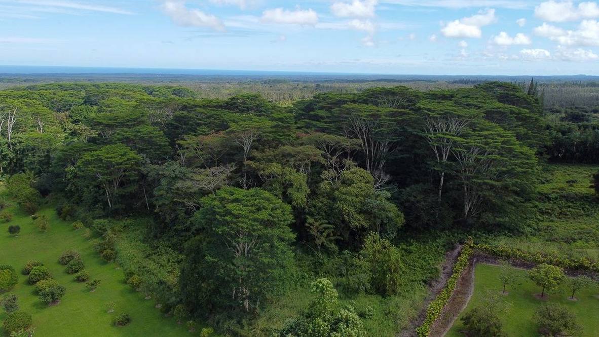 Land for Sale in KURTISTOWN 705613 Hawaii Life