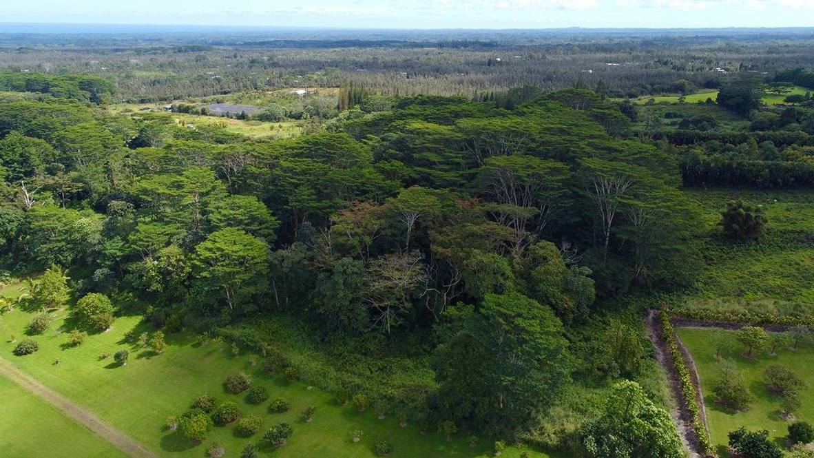 Land for Sale in KURTISTOWN 705613 Hawaii Life