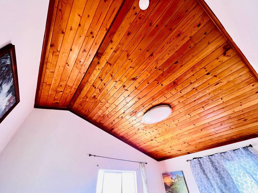 12-5455-ala-lokelani-house-for-sale-in-pahoa-706044-hawaii-life