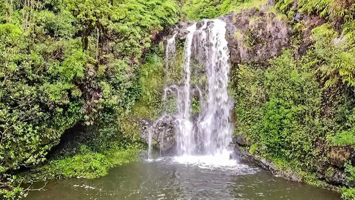 32620 PIHA KAHUKU RD Land for Sale in NINOLE 705396 Hawaii Life