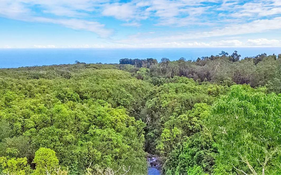 32620 PIHA KAHUKU RD Land for Sale in NINOLE 705396 Hawaii Life