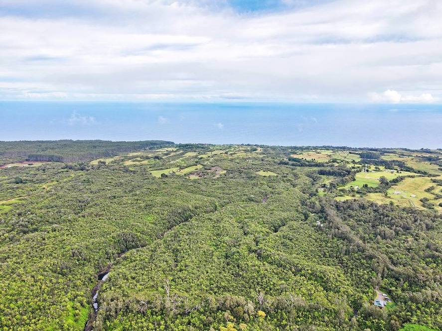 32620 PIHA KAHUKU RD Land for Sale in NINOLE 705396 Hawaii Life