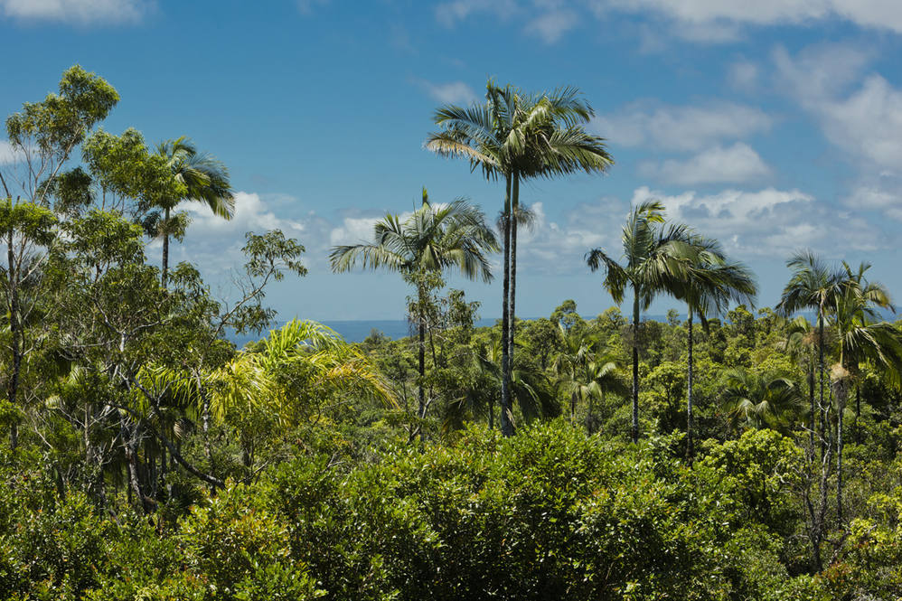 3269 KAIWIKI RD House for Sale in HILO 702636 Hawaii Life