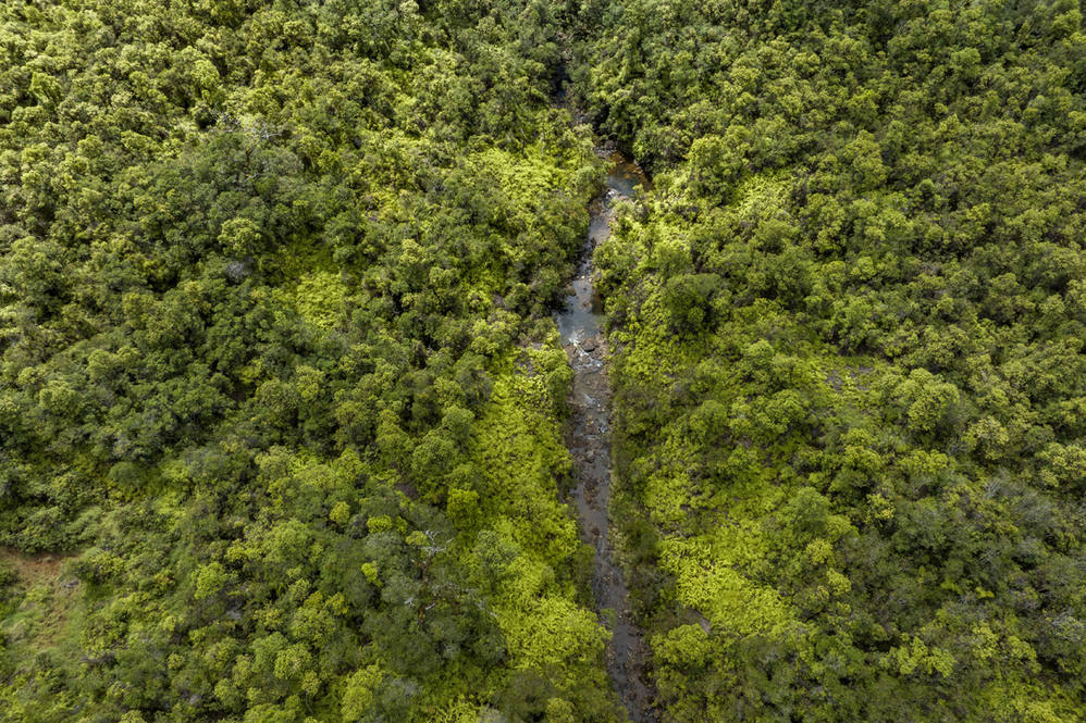 3269 KAIWIKI RD House for Sale in HILO 702636 Hawaii Life