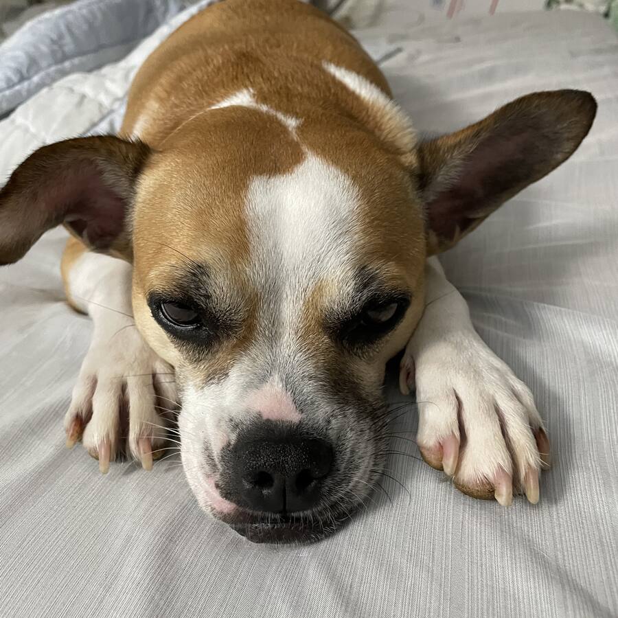 Jon Mann Hawaii Life Real Estate Professional