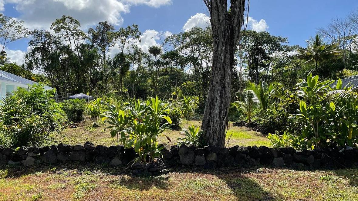 OPAE ST Land for Sale in PAHOA 706501 Hawaii Life