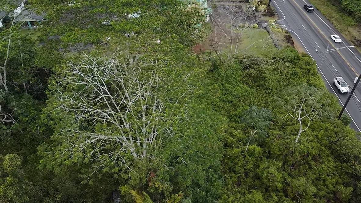 PAHOA RD Land for Sale in KURTISTOWN 706140 Hawaii Life