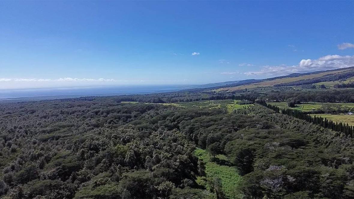 WOOD VALLEY RD Land for Sale in PAHALA 706723 Hawaii Life