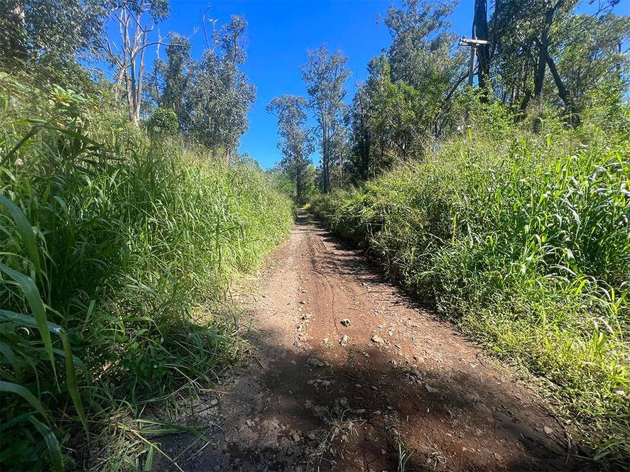 WOOD VALLEY RD Land for Sale in PAHALA 706723 Hawaii Life