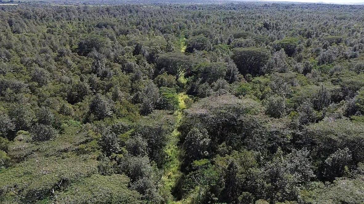WOOD VALLEY RD Land for Sale in PAHALA 706723 Hawaii Life