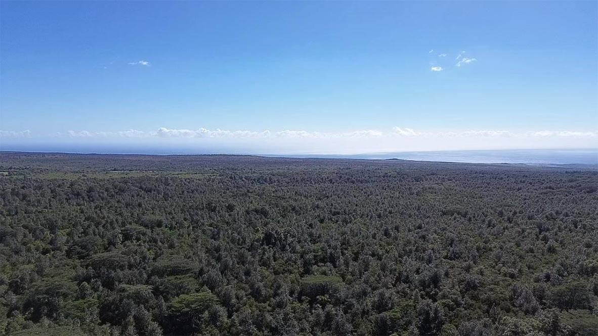 WOOD VALLEY RD Land for Sale in PAHALA 706723 Hawaii Life