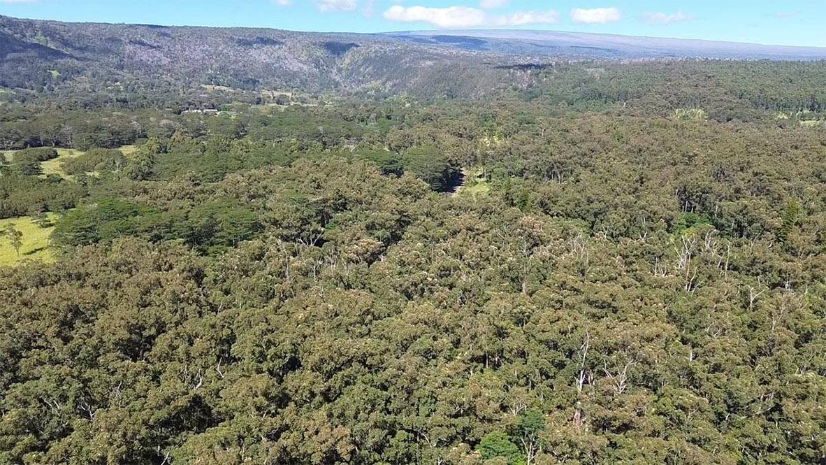 WOOD VALLEY RD Land for Sale in PAHALA 706723 Hawaii Life