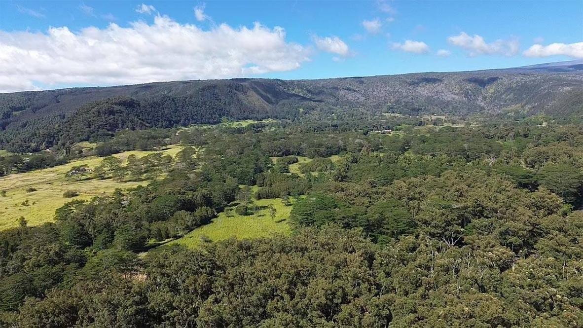 WOOD VALLEY RD Land for Sale in PAHALA 706723 Hawaii Life