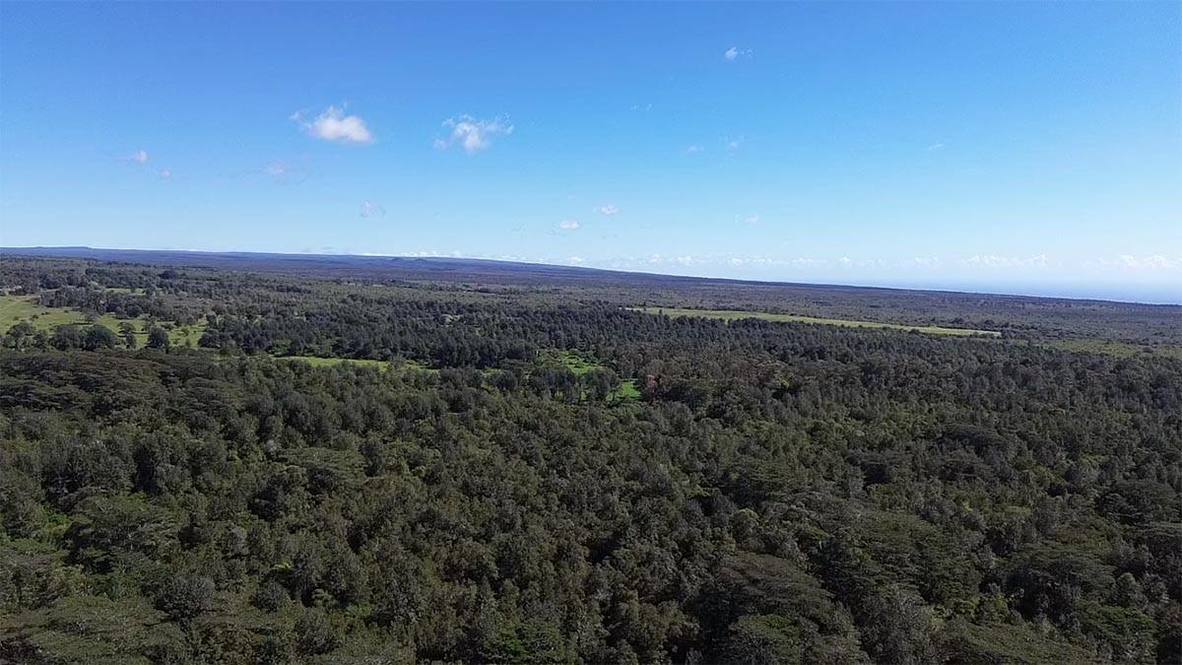 WOOD VALLEY RD Land for Sale in PAHALA 706723 Hawaii Life