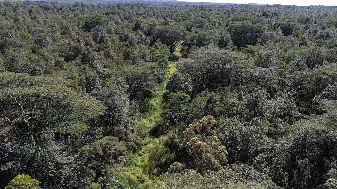 WOOD VALLEY RD Land for Sale in PAHALA 706723 Hawaii Life
