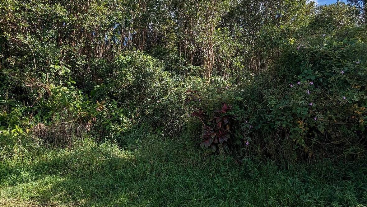 PUNA WAI AVE Land for Sale in MOUNTAIN VIEW 706877 Hawaii Life