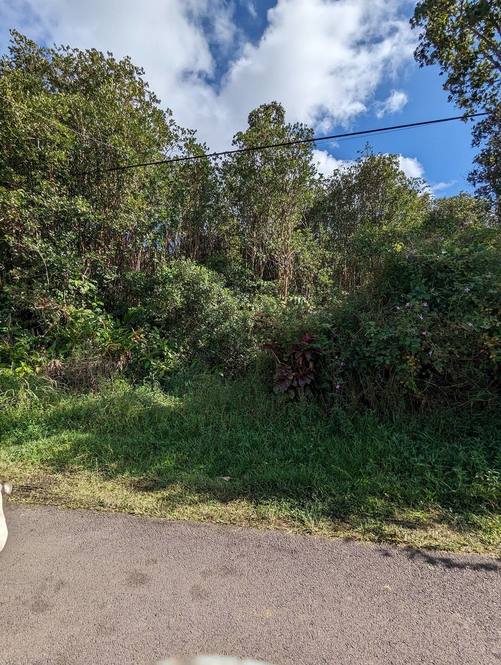 PUNA WAI AVE Land for Sale in MOUNTAIN VIEW 706877 Hawaii Life
