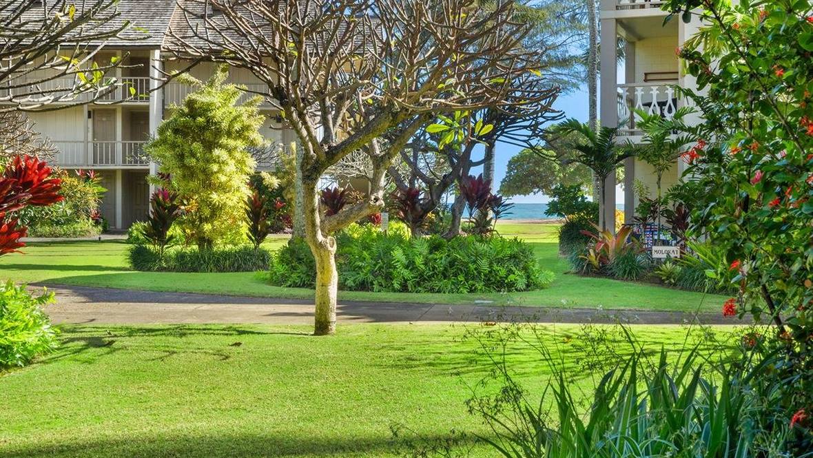 440 ALEKA PL 169 Condo for Sale in KAPAA 705039 Hawaii Life