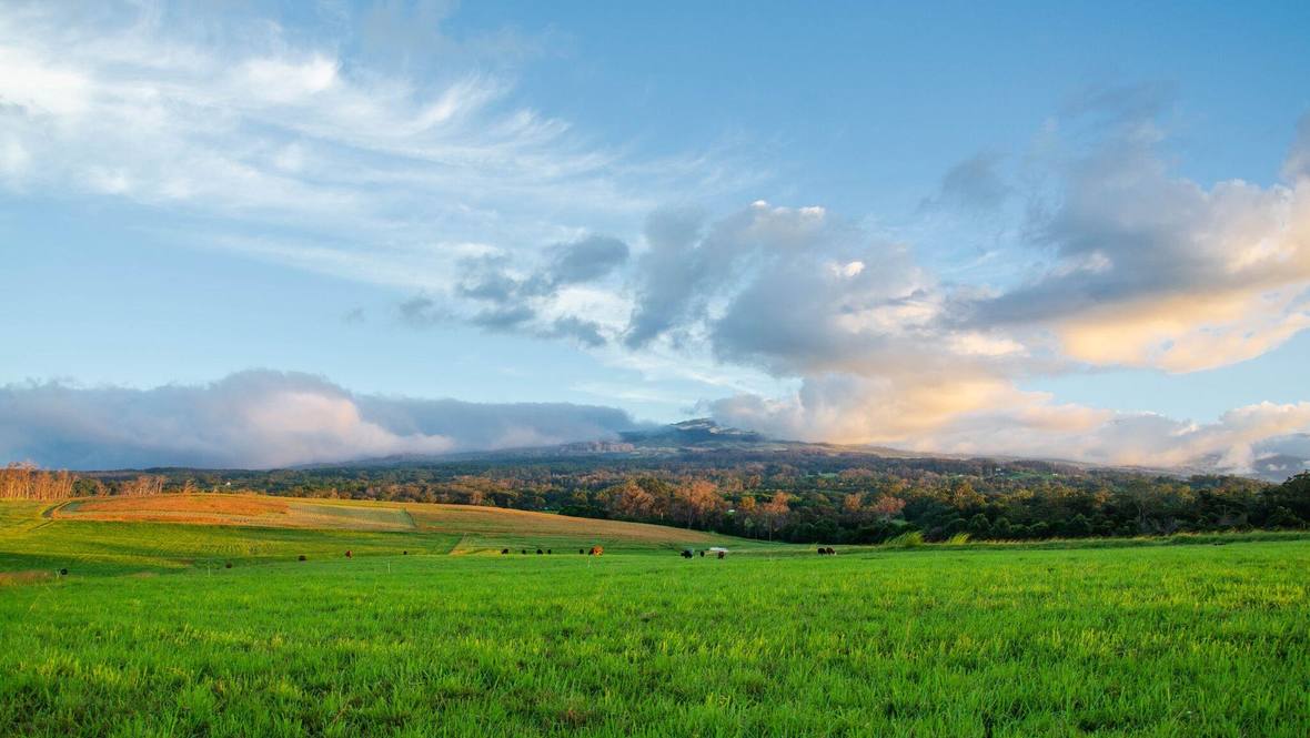 810 Piiholo Rd Condo for Sale in Makawao 400586 Hawaii Life