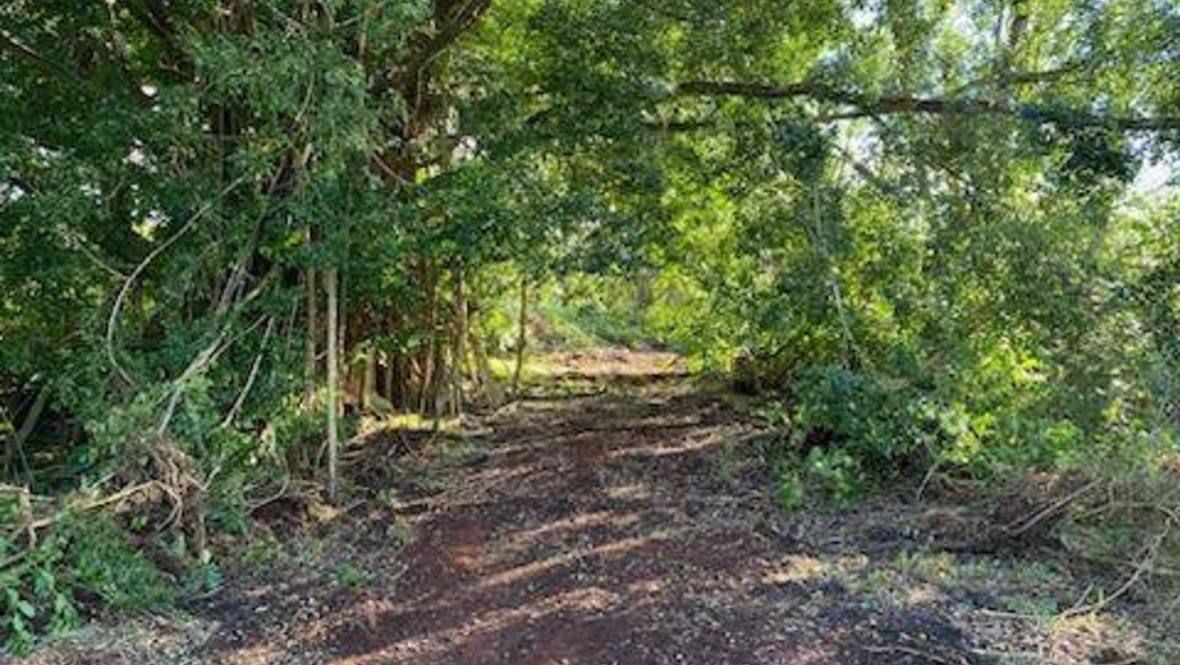 16395 LANIUMA ST Land for Sale in KURTISTOWN 707070 Hawaii Life