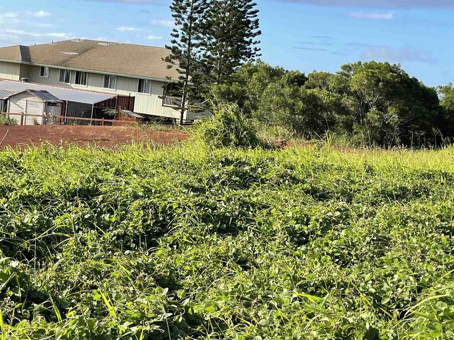 Puunana St D70 Land for Sale in Maunaloa 399110 Hawaii Life