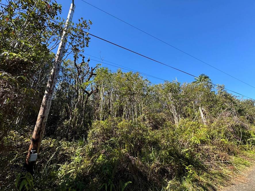 ROAD 5 (UAU) Land for Sale in MOUNTAIN VIEW 707310 Hawaii Life