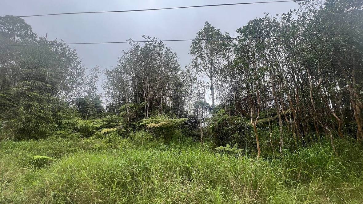 182297 ROAD 9 Land for Sale in VOLCANO 706865 Hawaii Life