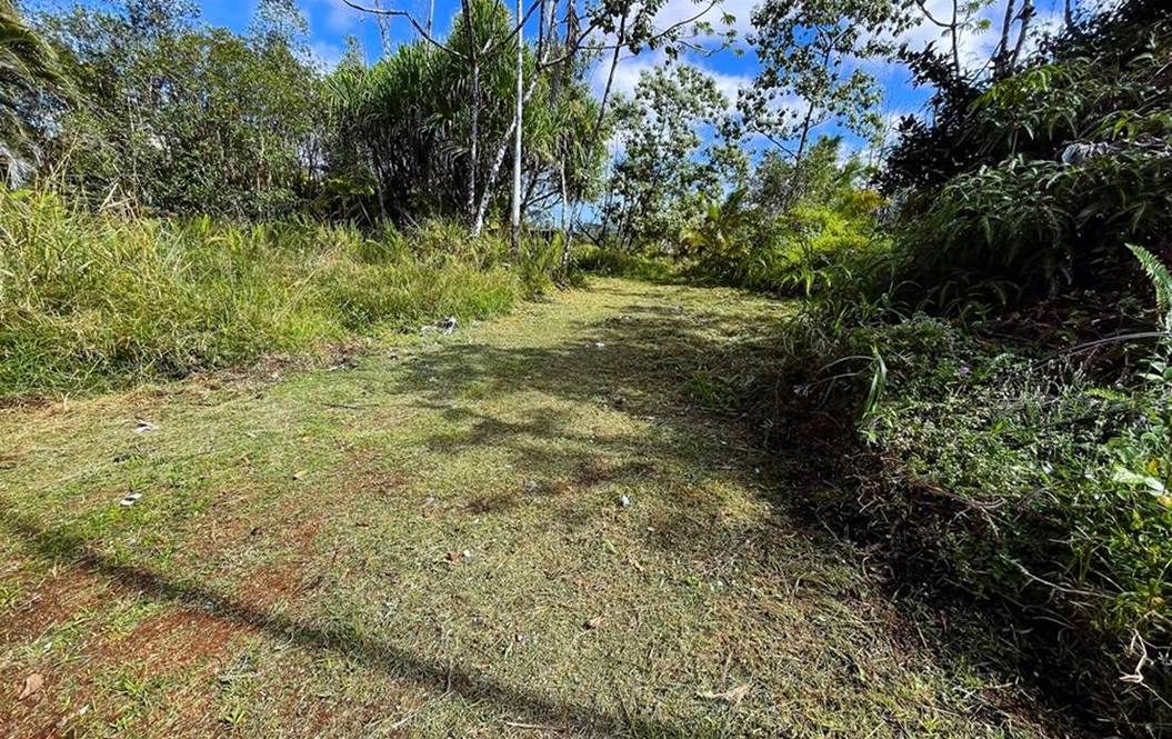 161659 38TH AVE Land for Sale in KURTISTOWN 703961 Hawaii Life