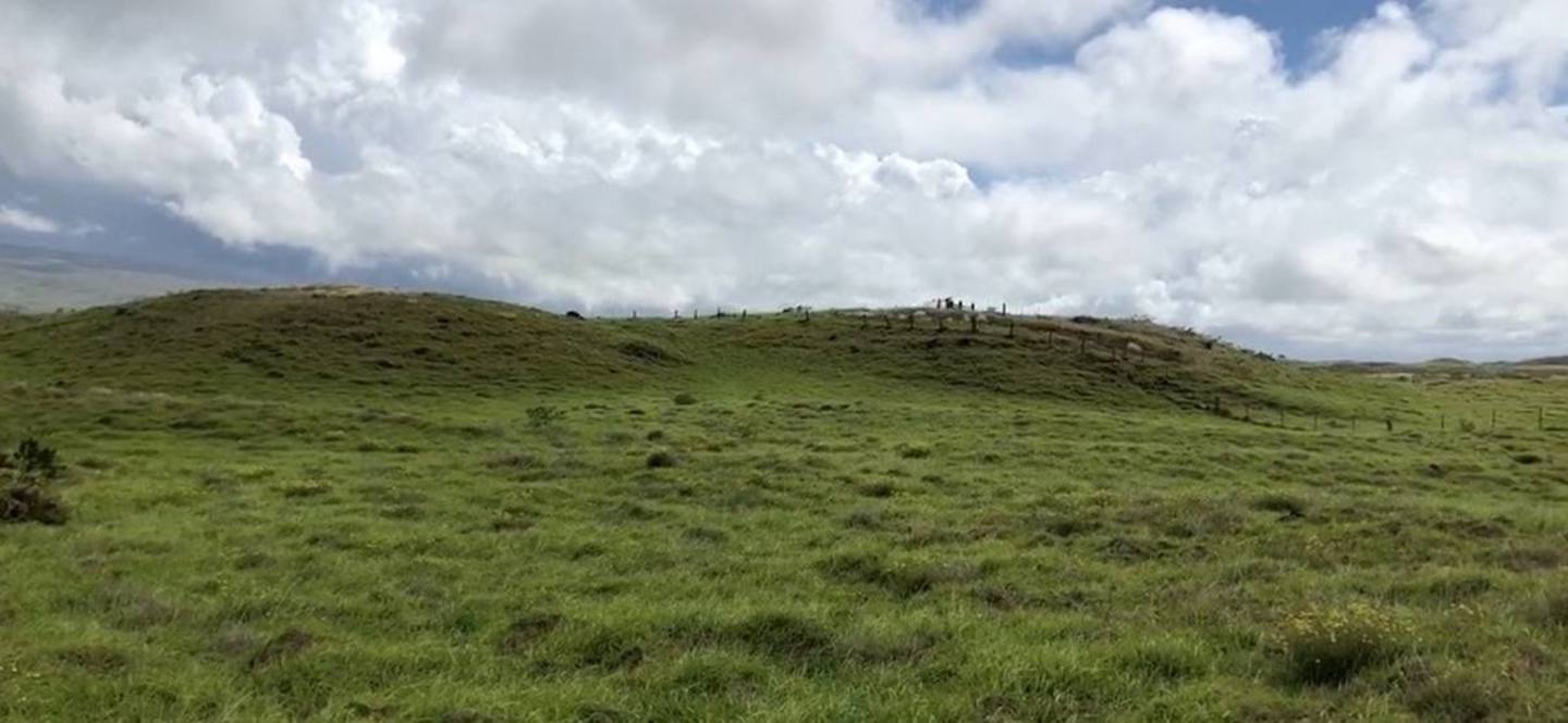 Land for Sale in KAMUELA 707430 Hawaii Life